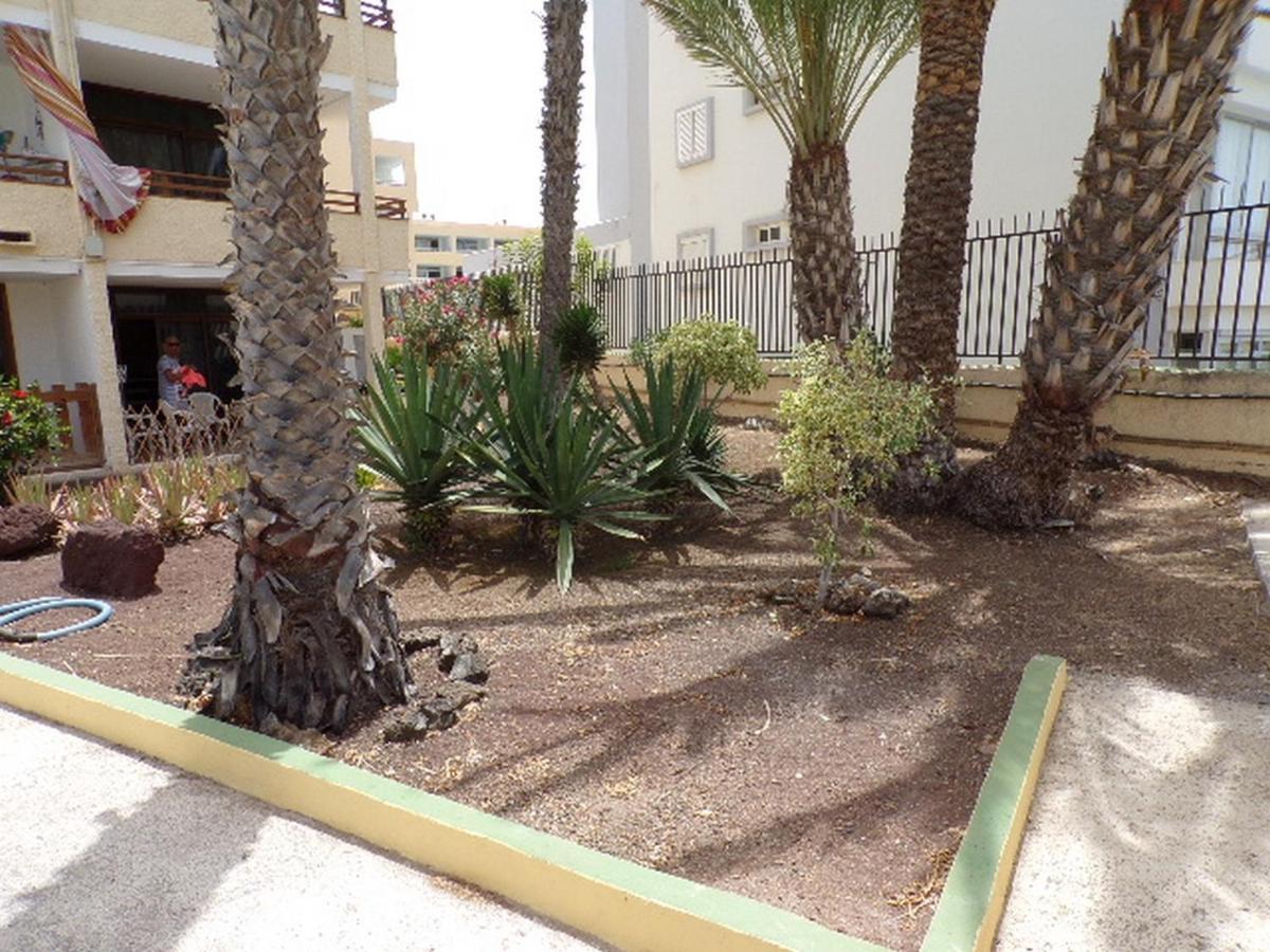 Los Juncos 403 Playa del Inglés Extérieur photo
